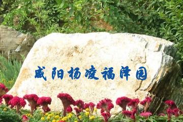 咸阳杨凌福泽园